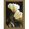 White Tulips 5D DIY Paint By Diamond Kit
