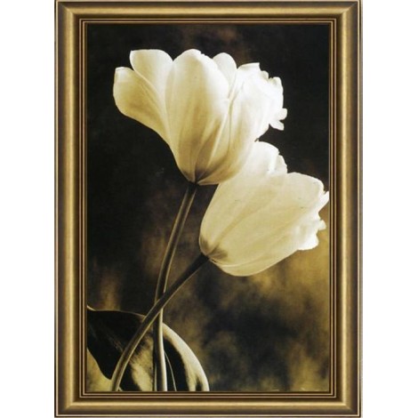 White Tulips 5D DIY Paint By Diamond Kit