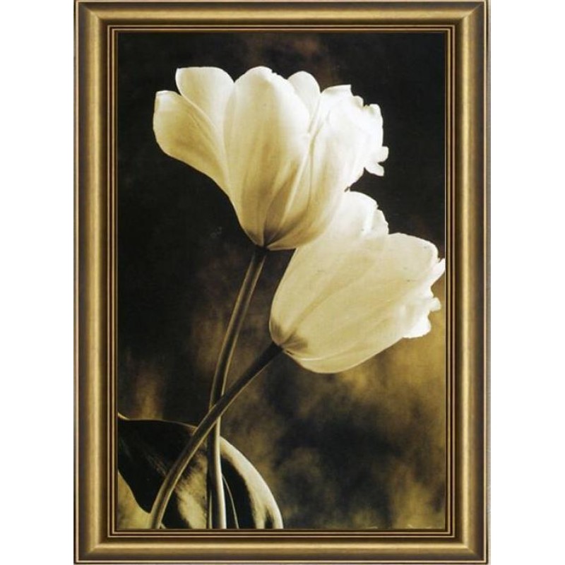 White Tulips 5D DIY ...