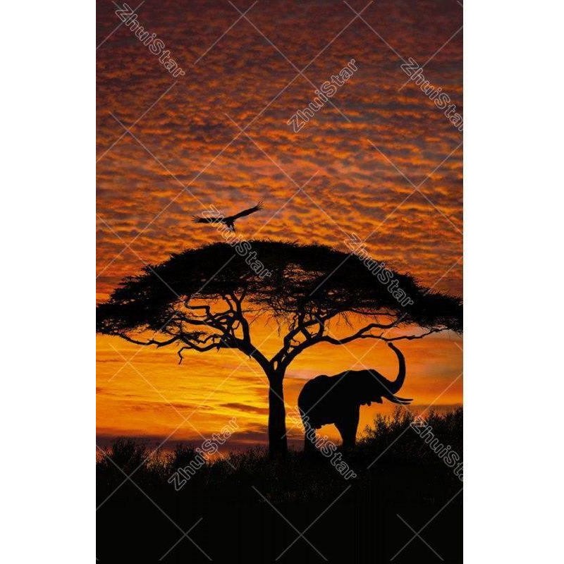 Sunset  Elephant 5D ...