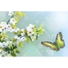 Green Butterfly 5D DIY Paint By Diamond Kit