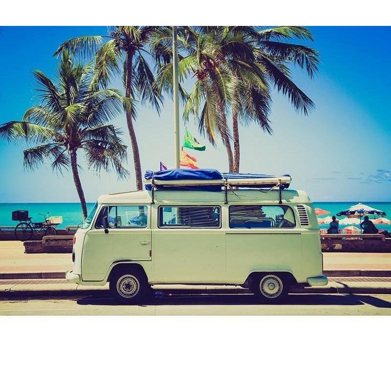 Seaside Sightseeing ...