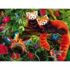 Cute Pandas 5D DIY Paint By Diamond Kit