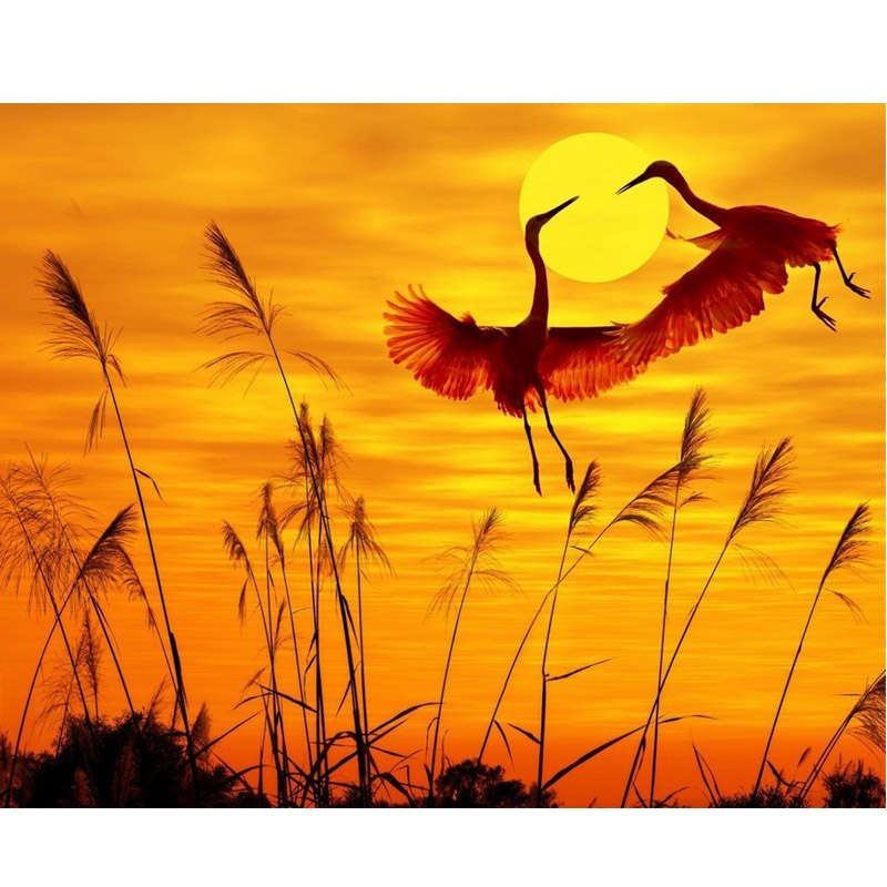 Sunset Cranes 5D DIY...