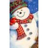 Snowman 5D DIY Paint By Diamond Kit