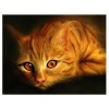 Cat with Golden Eyes 5D DIY Diamond Painting