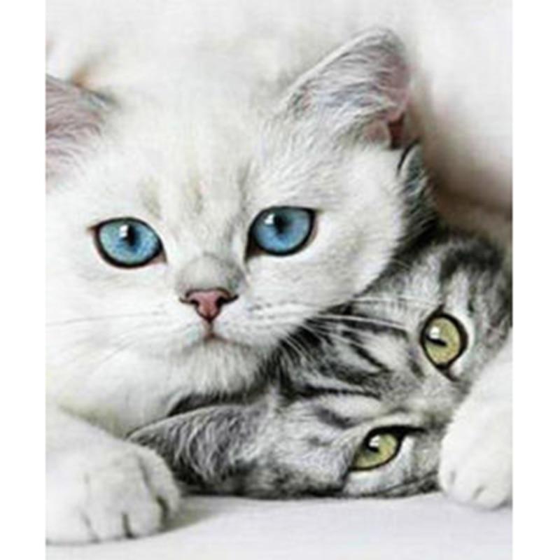 Two Cute Cats 5D DIY...