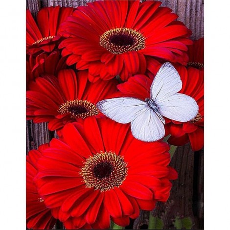 Red Daisies Butterfly 5D DIY Paint By Diamond Kit
