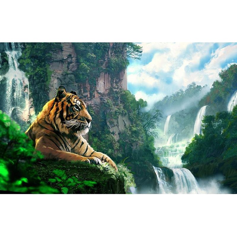 Tiger & Nature 5...