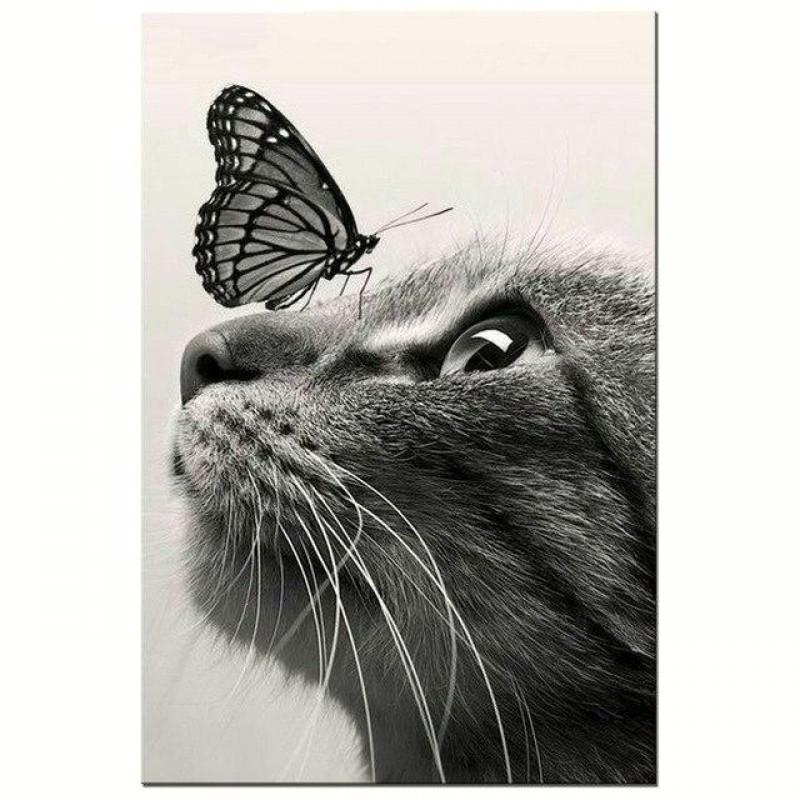 Cute Cat 5D DIY Pain...