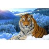 Snow Tiger 5D DIY Paint By Diamond Kit