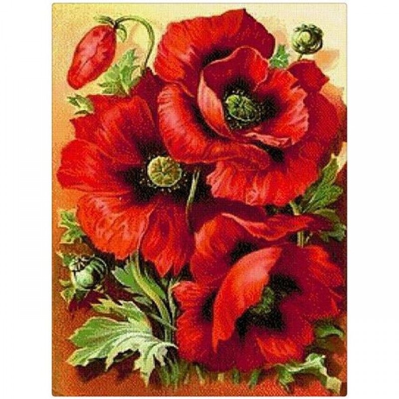 Red Flowers 5D DIY P...