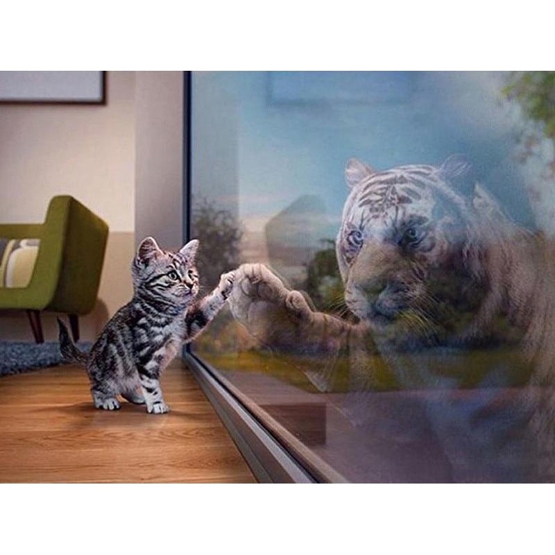 Cat & Tiger 5D D...