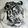 Tiger 5D DIY Paint By Diamond Kit