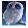 White Owl 5D DIY Paint By Diamond Kit