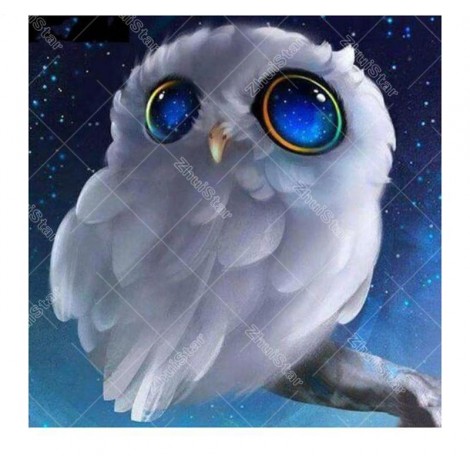 White Owl 5D DIY Paint By Diamond Kit