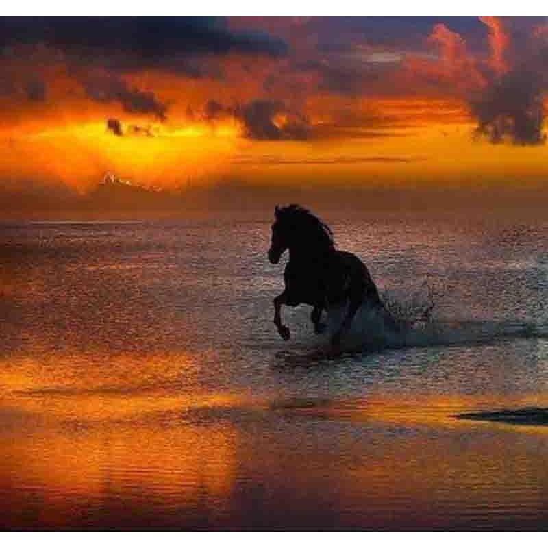 Sunset Horse 5D DIY ...