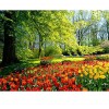 Spring colors in Garden 5D DIY Diamond Painting