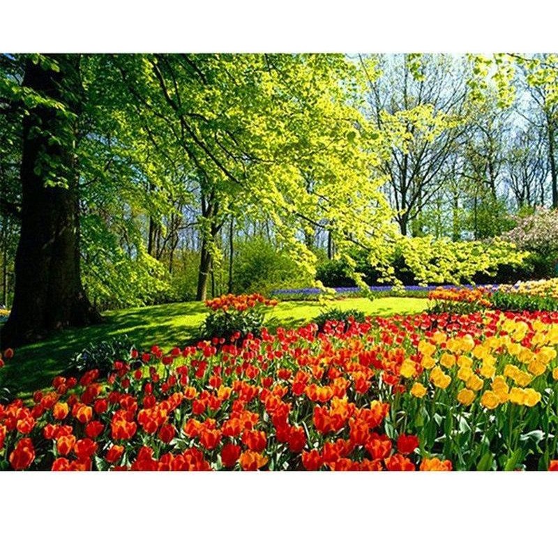 Spring colors in Gar...