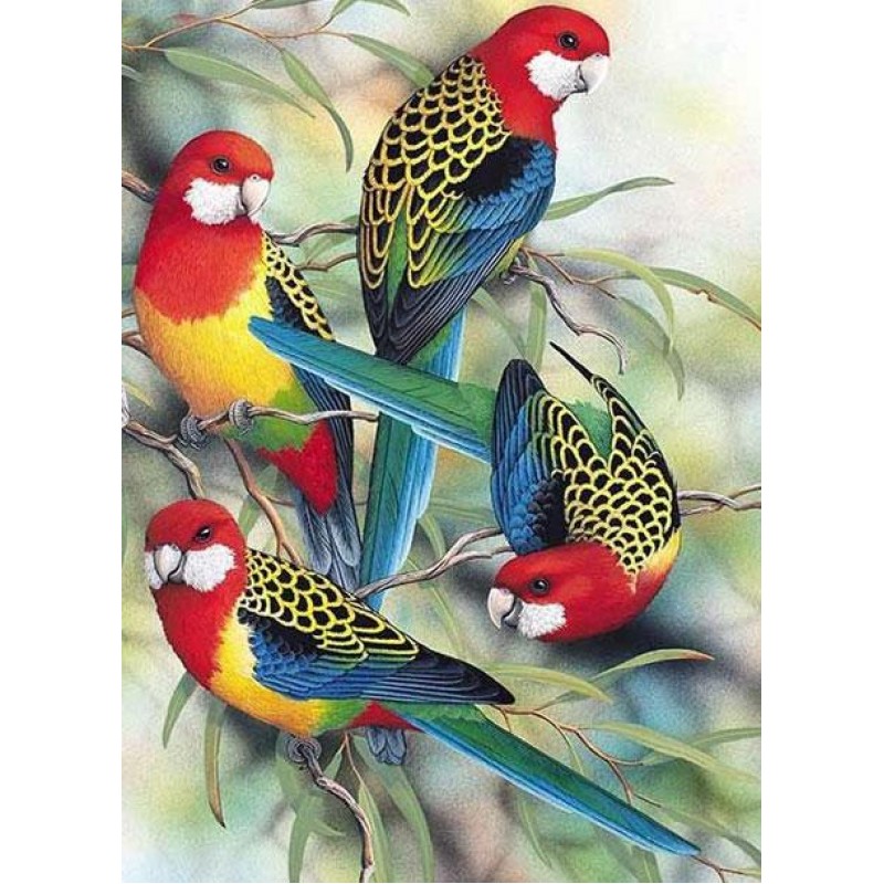 Colorful Birds On Th...