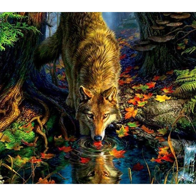 Wolf by the Stream 5...