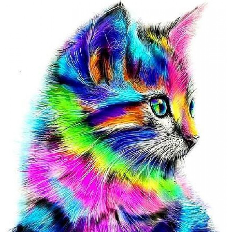 Rainbow Kitten 5D DI...
