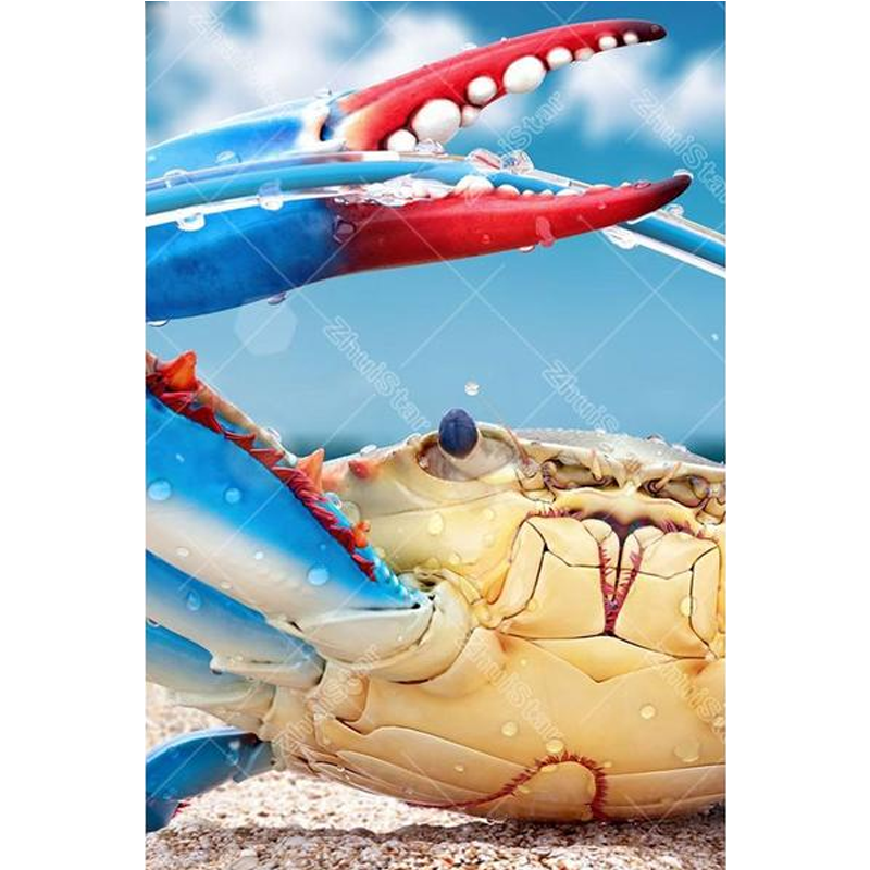 Crab 5D DIY Paint By...