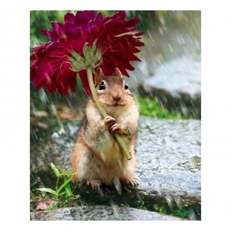 Cute Squirrel 5D DIY Paint By Diamond Kit