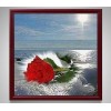 Sea Red Rose 5D DIY Paint By Diamond Kit