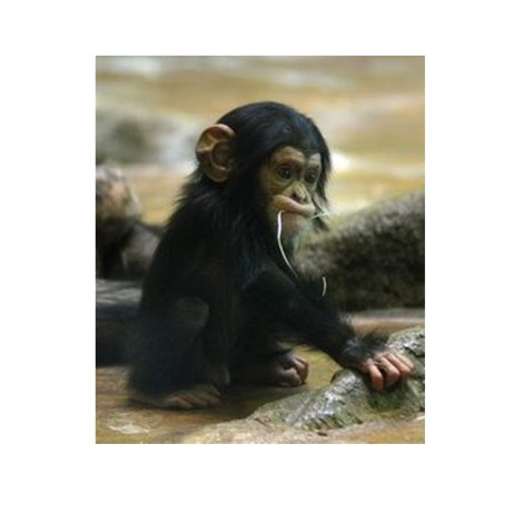 Baby Orangutan 5D DIY Paint By Diamond Kit