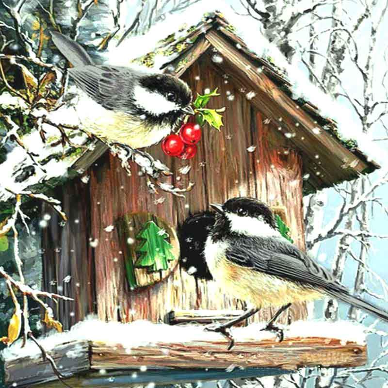 Snowbirds Home 5D DI...