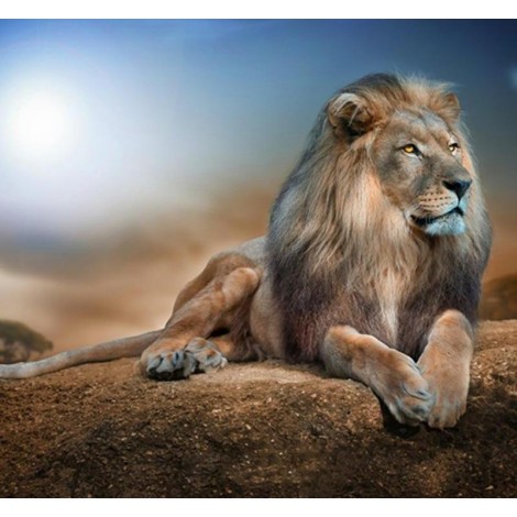 Desert Lion 5D DIY Paint By Diamonds Kit