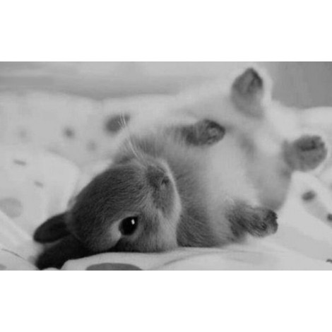 Black and White Rabbit 5D DIY Paint By Diamond Kit