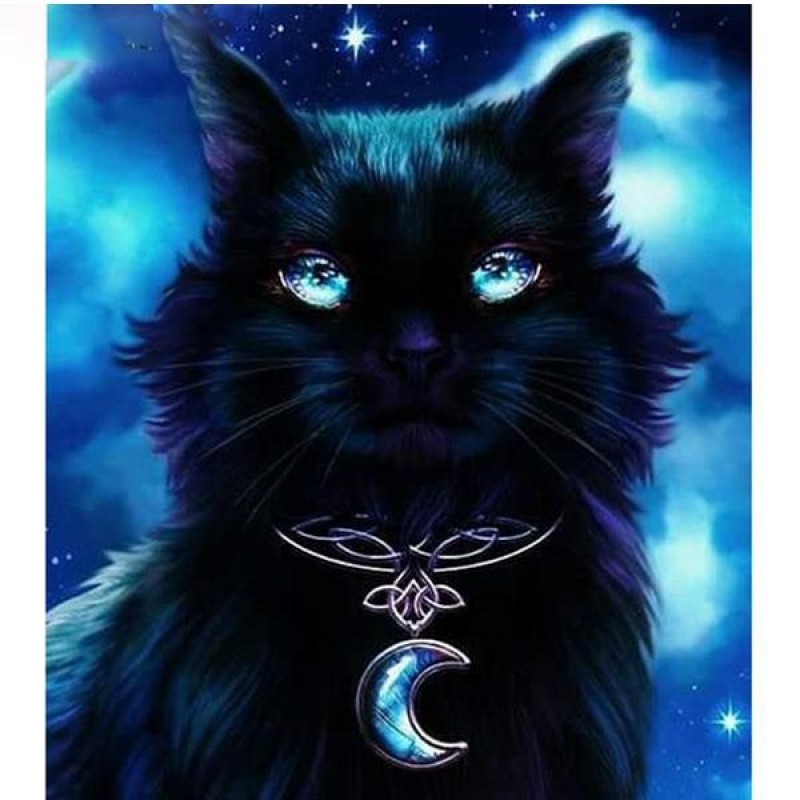 Black Moon Cat 5D DI...