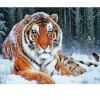 Tiger 5D DIY Paint By Diamond Kit