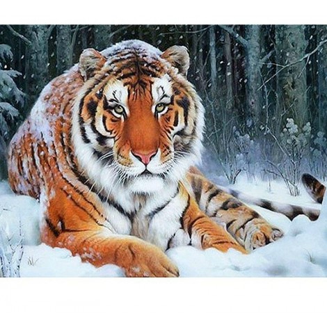 Tiger 5D DIY Paint By Diamond Kit