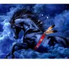 Black Horse 5D DIY Paint By Diamond Kit