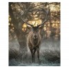 Elk In The Forest 5D DIY Paint By Diamond Kit