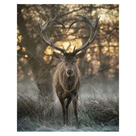 Elk In The Forest 5D DIY Paint By Diamond Kit