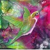 Color bird 5D DIY Diamond Painting