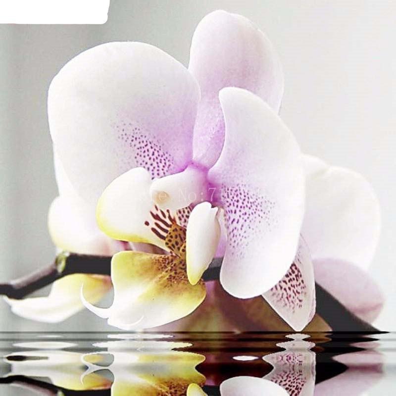 Flowers 5D DIY Paint...