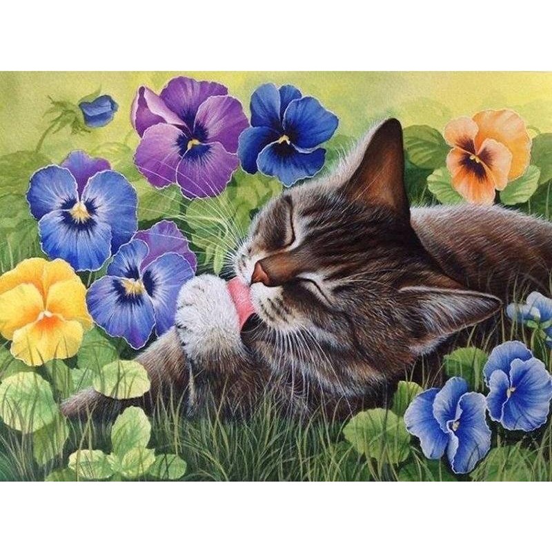 Cat in the Garden 5D...