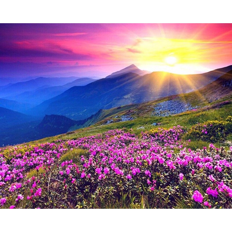 Beautiful Sunrise 5D...