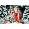 Christmas Santa 5D DIY Paint By Diamond Kit