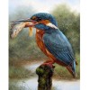 Bird Catching Fish 5D DIY Paint By Diamond Kit