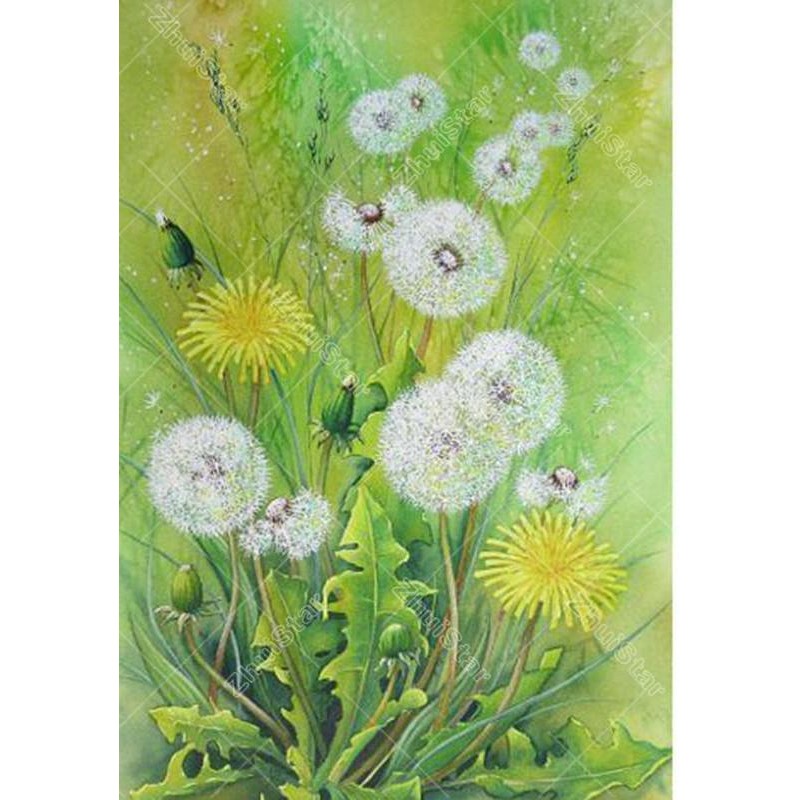 Dandelion Flower 5D ...