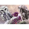 Two Owls 5D DIY Paint By Diamond Kit