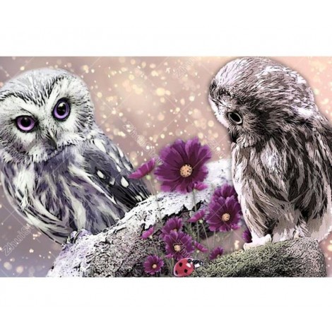 Two Owls 5D DIY Paint By Diamond Kit