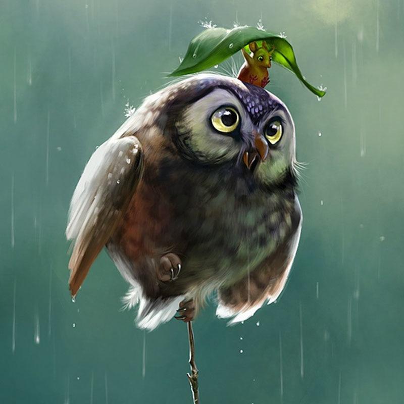 Cute Owl 5D DIY Pain...