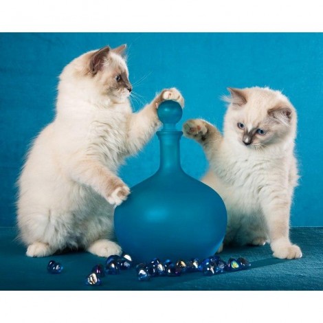 Playing Cats 5D DIY Paint By Diamond Kit
